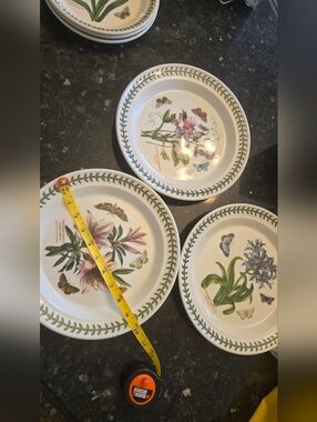 6 Portmeirion Botanical Floral Dinner Plates - White with Green Leaf Border.